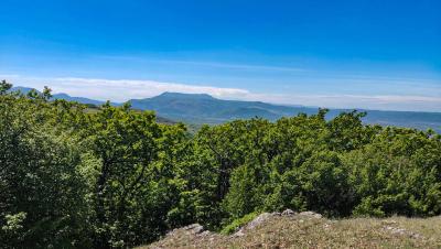 Прикрепленное изображение: IMG_20240510_111027.jpg